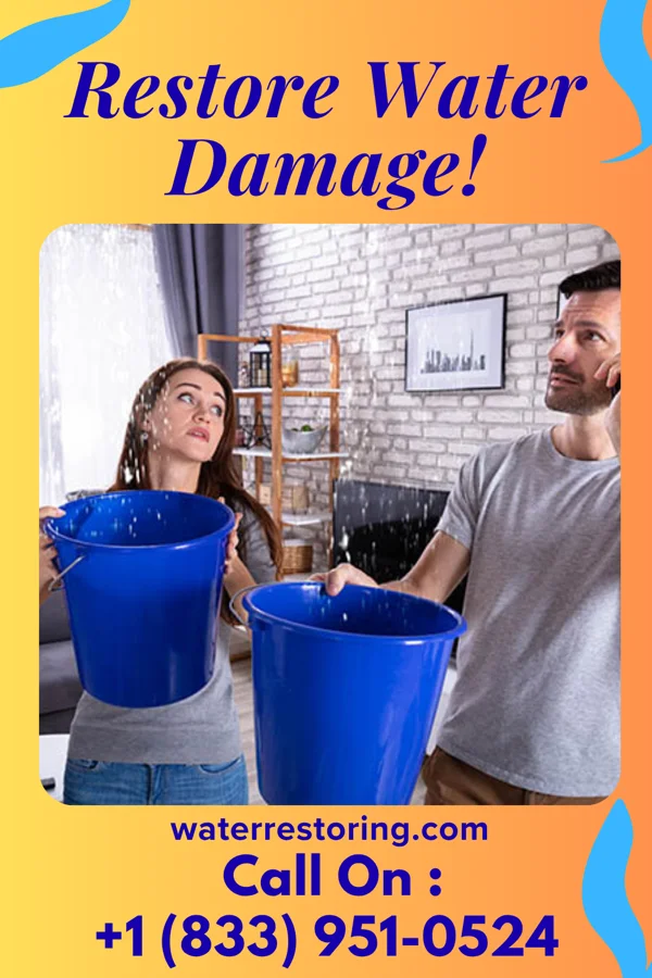 water restoration Classic Damage Recovery Force Chatsworth