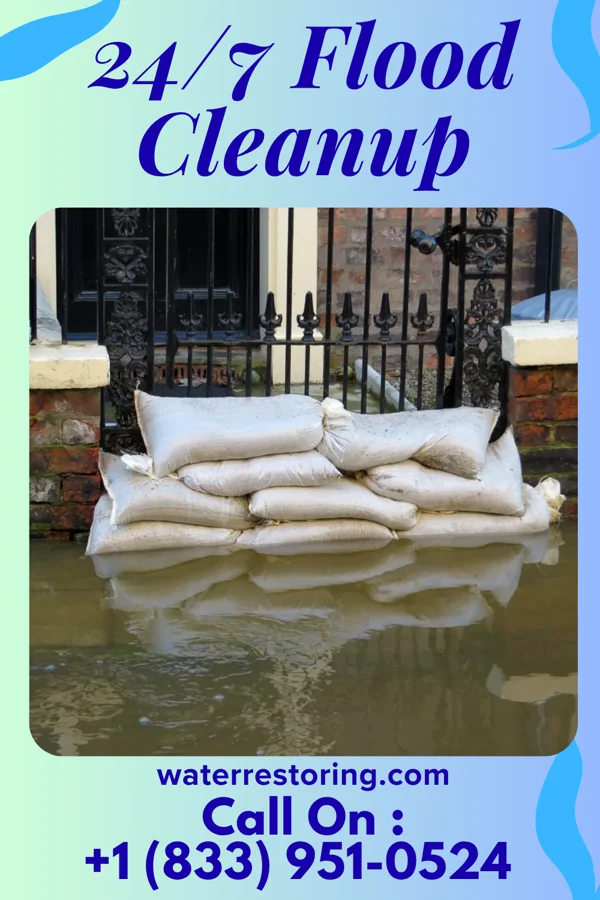 24/7 Flood Cleanup in Chatsworth, IA