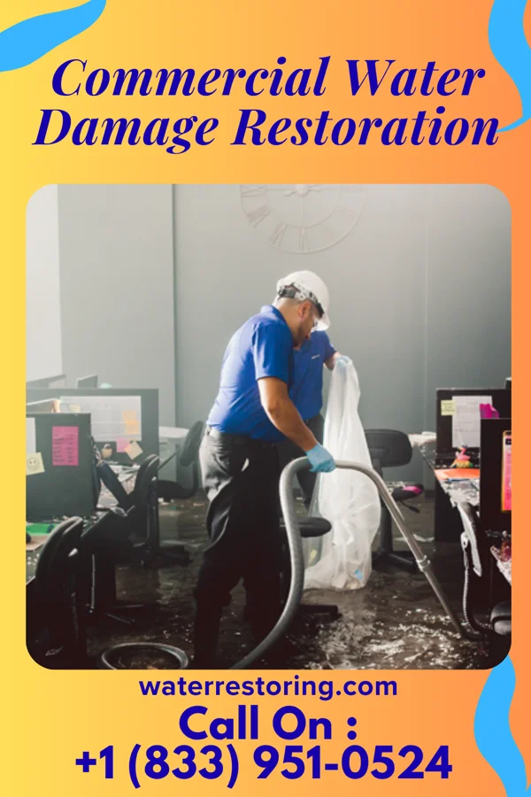 Commercial Water Damage Restoration in Chatsworth, IA