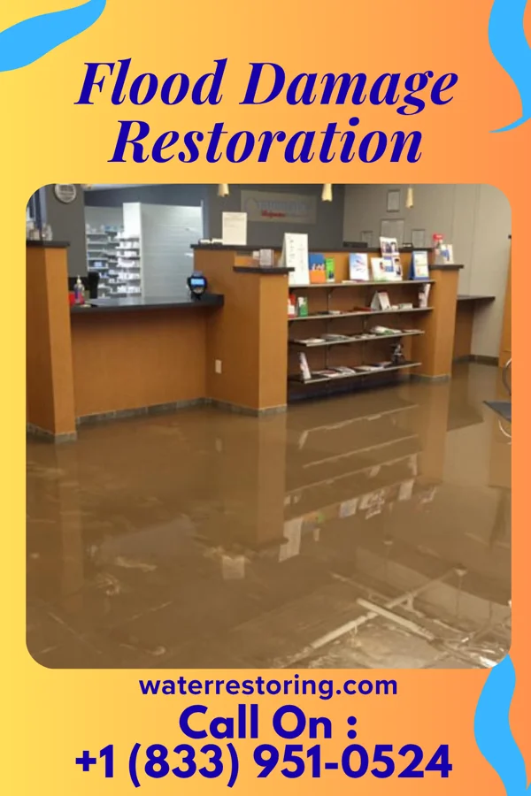 Flood Damage Restoration in Chatsworth, IA