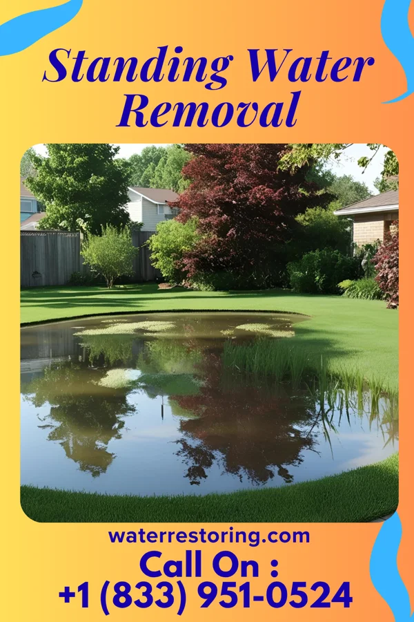 Standing Water Removal in Chatsworth, IA